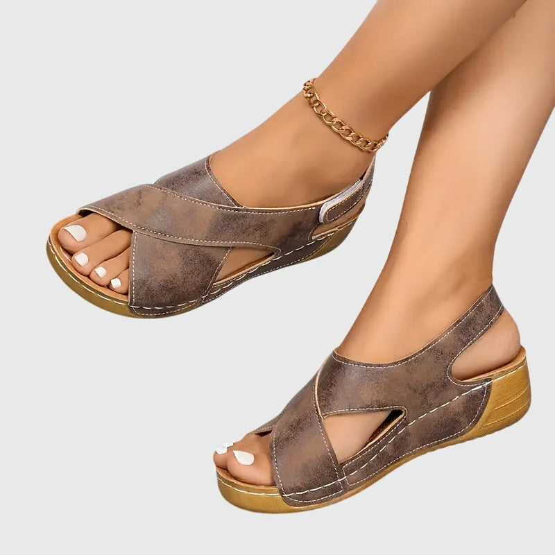Terra Brown