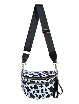 Black and White Cow