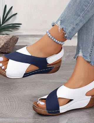 Blue & White